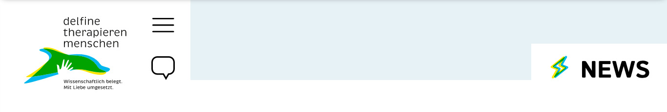 Header 4: Aufbau nur mit Überschrift und kleinem Icon